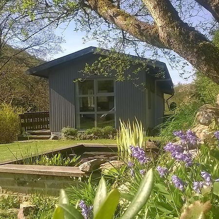 Au Phil Des Saisons Villa Arbre ภายนอก รูปภาพ